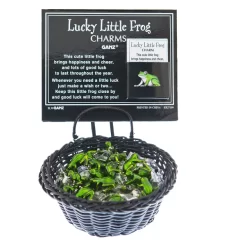 Lucky Little Frog Pocket Token Charm -Fashion Accessories Shop ER27109