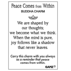 Peace Comes From Within Buddha Token Charm -Fashion Accessories Shop ER61750 3