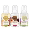 Michel Design Works Mini Foaming Hand Soap Set: Summer Days, Sweet Floral Melody, Deborah's Garden